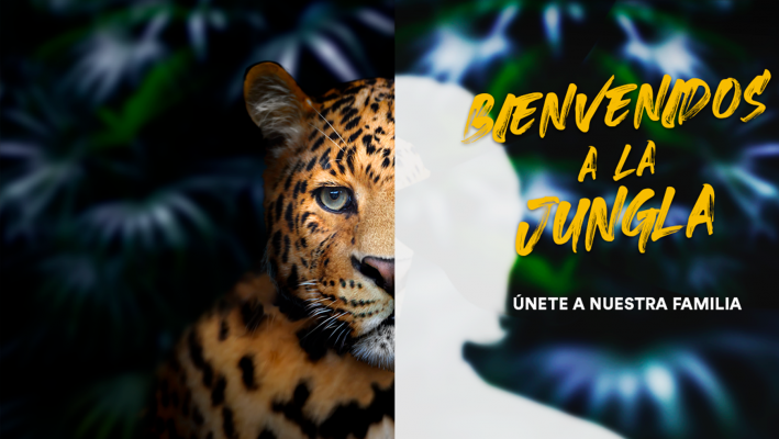 Bienvenidos-a-la-Jungla 1 (1)
